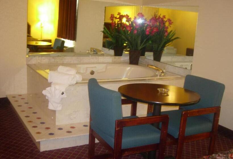 Стандартный Номер Кровать Кинг, Western Inn & Suites