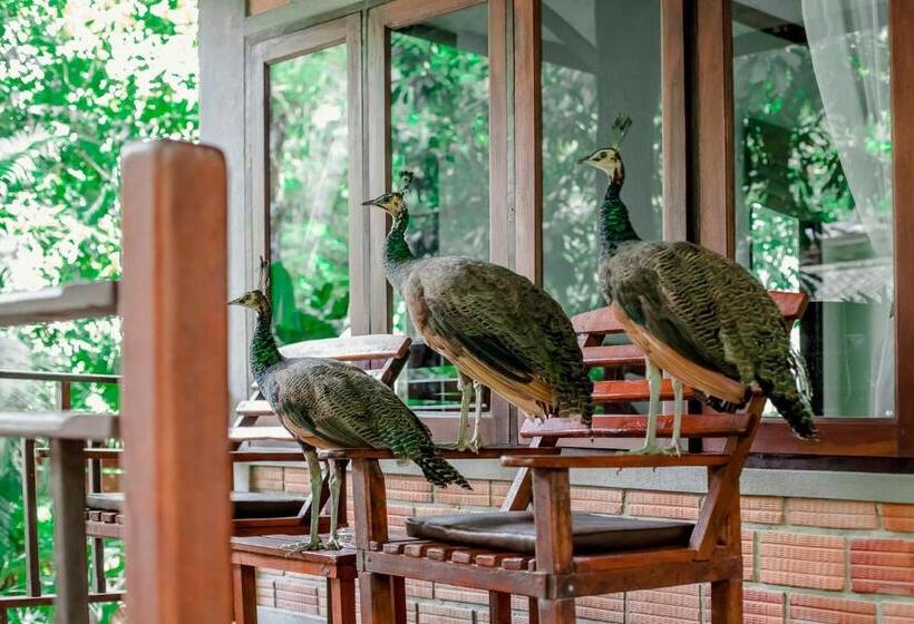 Номер Deluxe, The Vatika Resort And Spa