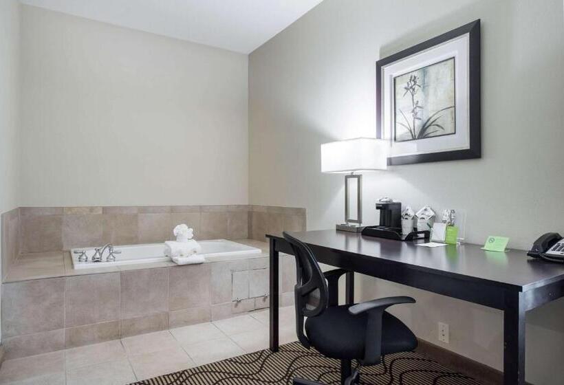 Люкс Повышенной Комфортности, La Quinta By Wyndham Auburn