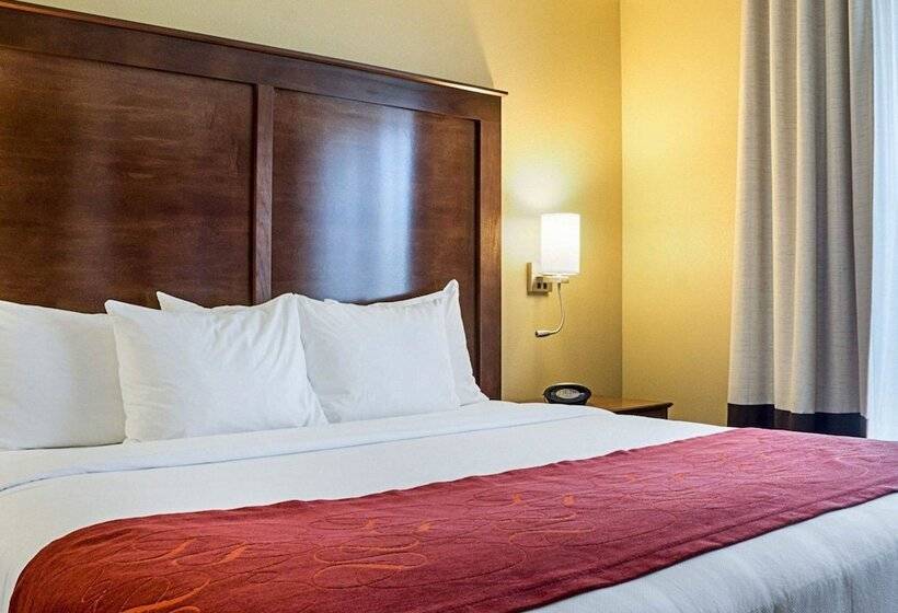 Люкс, Comfort Suites Medical Center