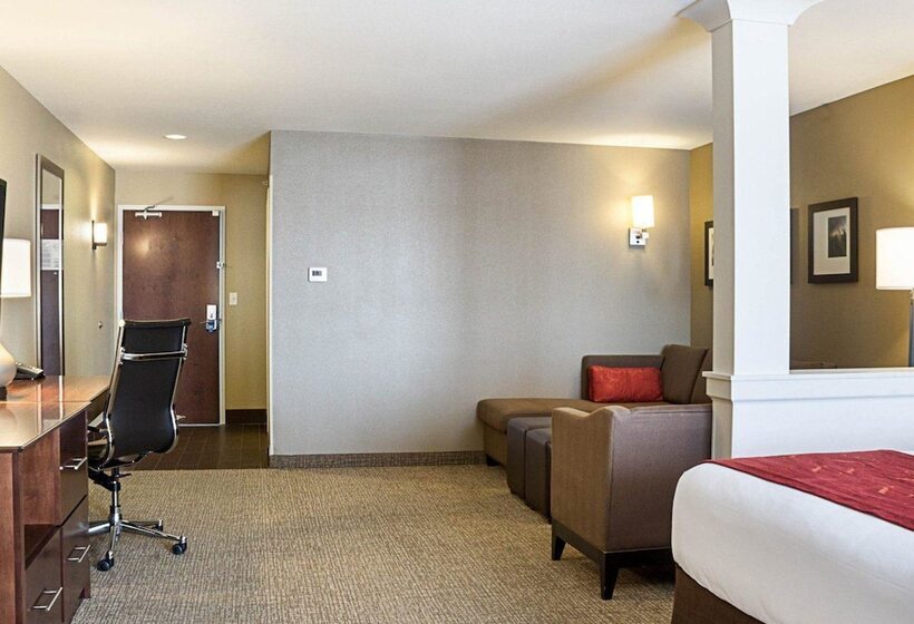 Люкс, Comfort Suites Medical Center
