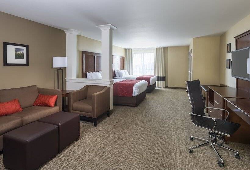 Люкс Адаптированный для Инвалидов, Comfort Suites Medical Center