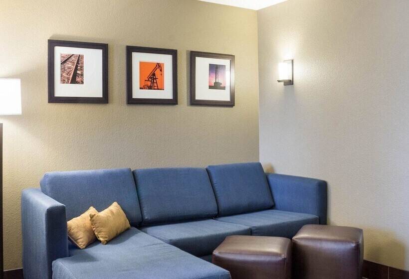 Люкс Адаптированный для Инвалидов, Comfort Suites