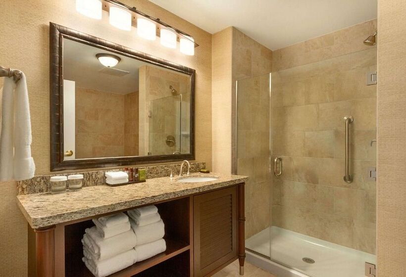 סוויטת פרמיום, Embassy Suites By Hilton Savannah Historic District