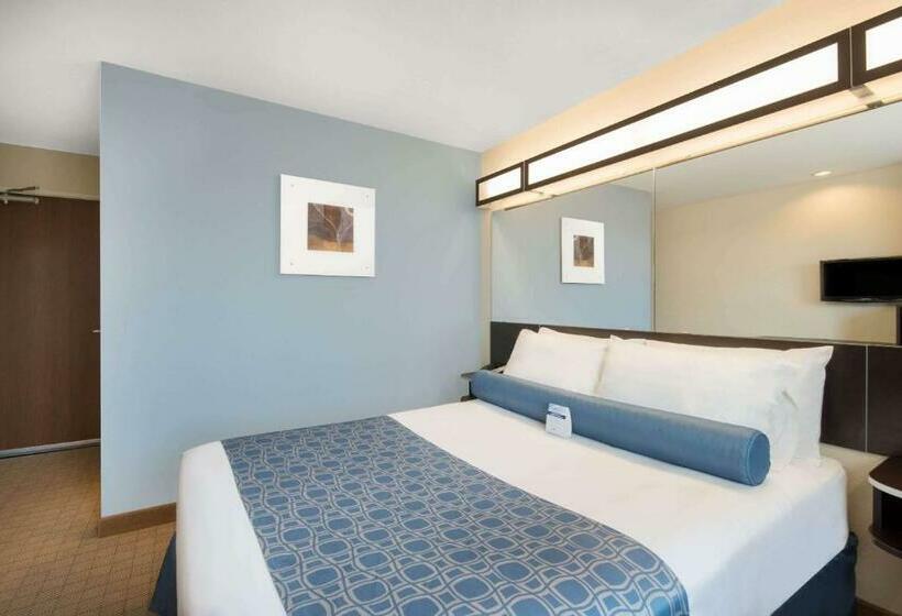 适合残疾人使用的标准间, Microtel Inn & Suites By Wyndham Stanley