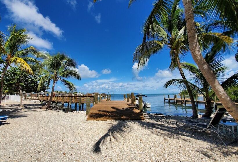استودیوی استاندارد, Captain Pip's Marina & Hideaway
