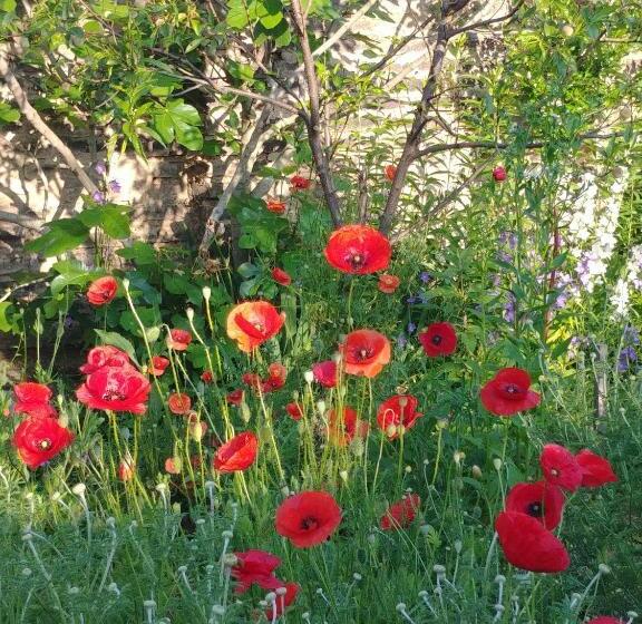Номер Стандарт Вид на Горы, Au Jardin De La Maison Des Soeurs