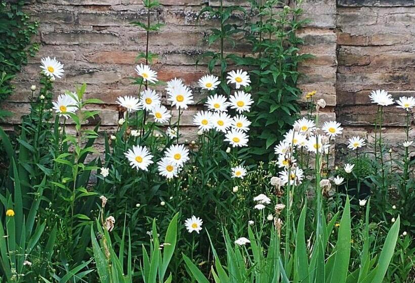 Номер Стандарт Совместная Ванная, Au Jardin De La Maison Des Soeurs