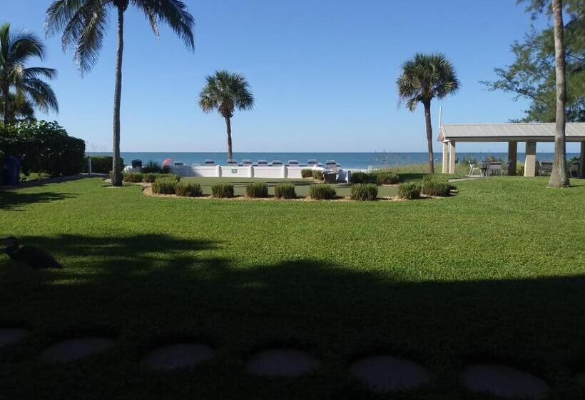 Люкс, Turtle Crawl Inn  Longboat Key