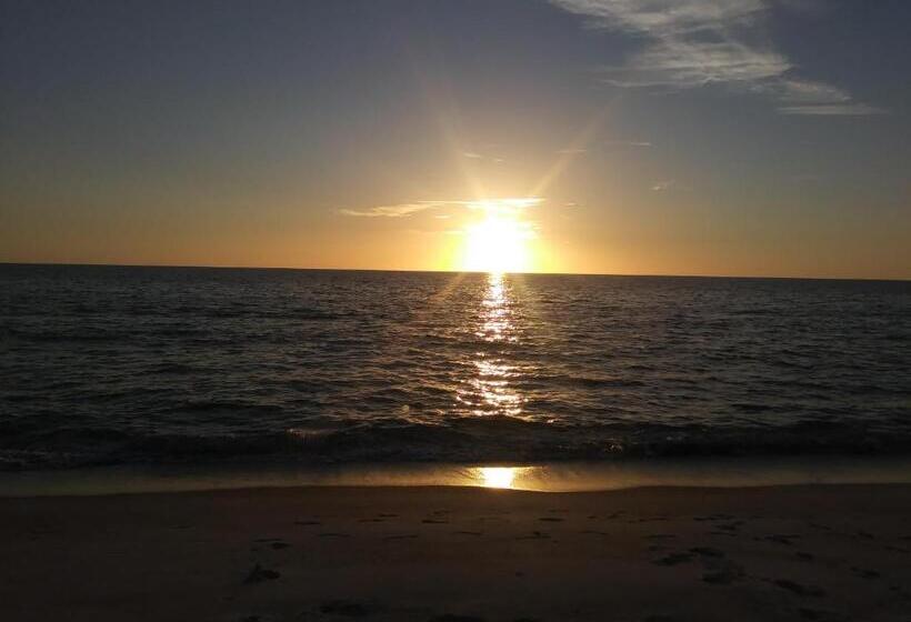 חדר סטודיו סטנדרד, Turtle Crawl Inn  Longboat Key