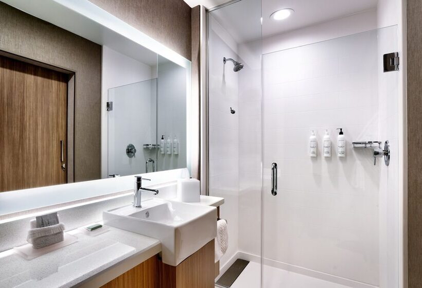 장애인을 위한 스위트, Springhill Suites By Marriott Cottonwood