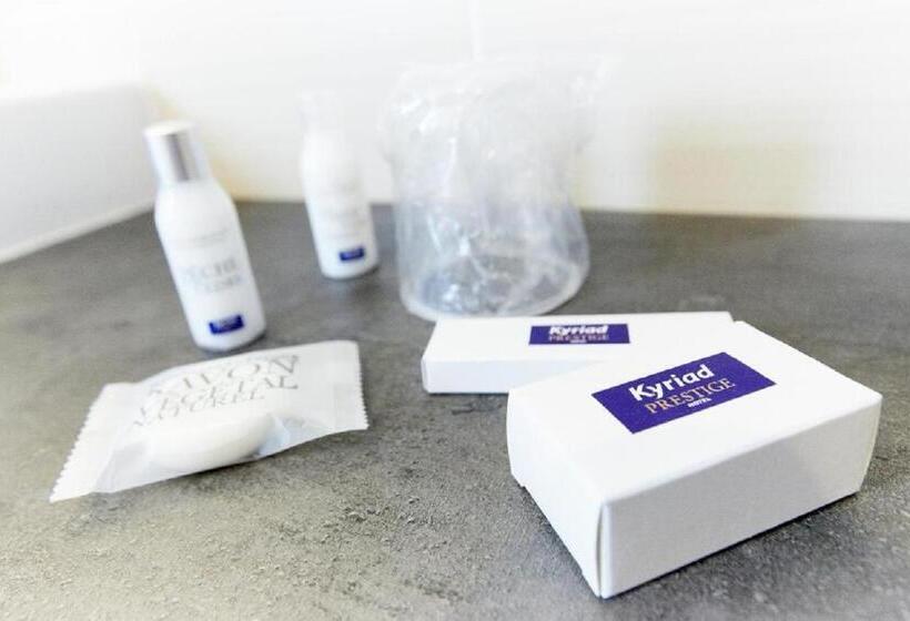 اتاق استاندارد با تخت دوبل, Kyriad Prestige Vannes Centre  Palais Des Arts