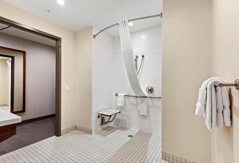 Номер Стандарт Кровать Кинг Адаптированный для Инвалидов, Mountain View Inn & Suites