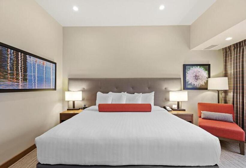 Номер Стандарт Кровать Кинг Адаптированный для Инвалидов, Mountain View Inn & Suites