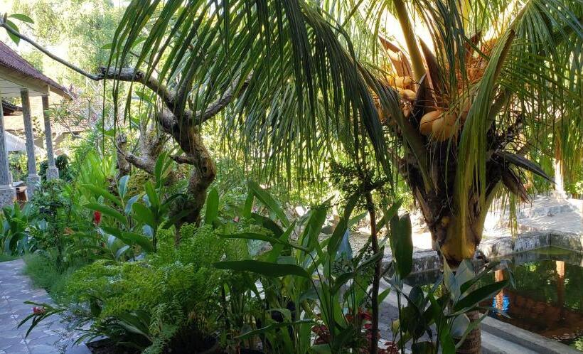 Номер Стандарт Вид на Сад, Citronella Home Stay