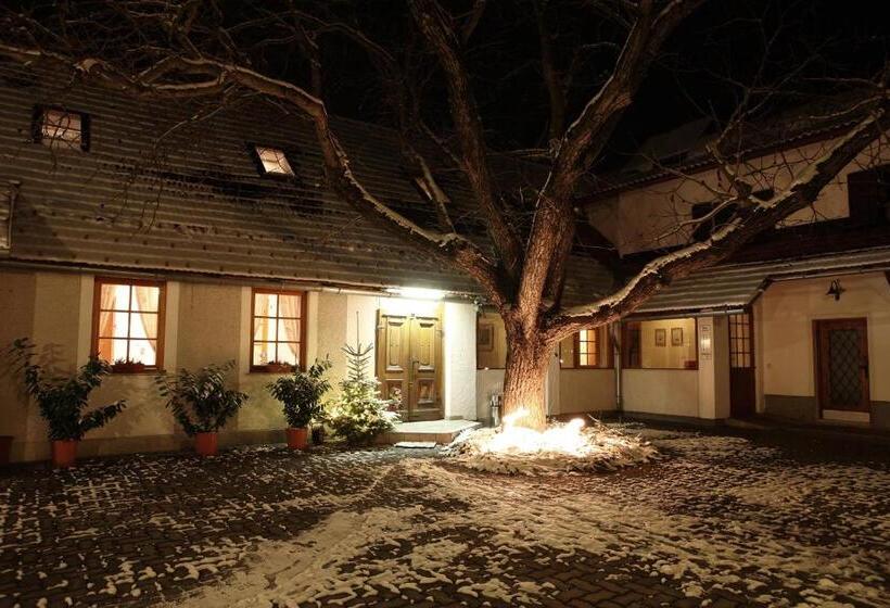 Апартаменты 1 Спальня, Ferienwohnung Michlwirt