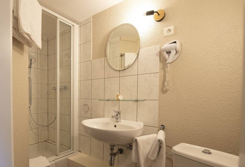 Номер Стандарт, Hôtel Restaurant Valneige