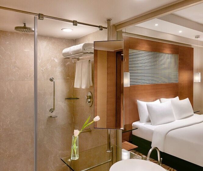 اتاق سوپریور, Radisson Blu Hotel Ahmedabad