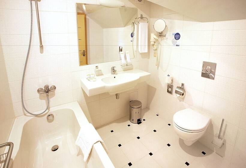اتاق استاندارد, Aerootel Krasnodar