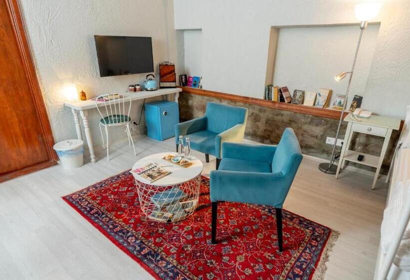 اتاق استاندارد با چشم‌انداز باغ, Hich Hotel Konya