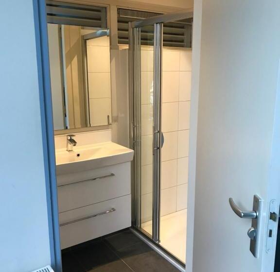 اتاق استاندارد با تخت بزرگ, B&b Zee Van Tijd Domburg