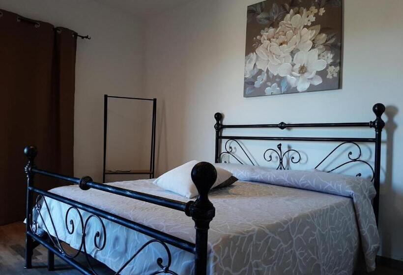 スタンダードルーム, Padiz Room