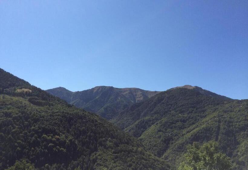 标准三人间, La Buneta