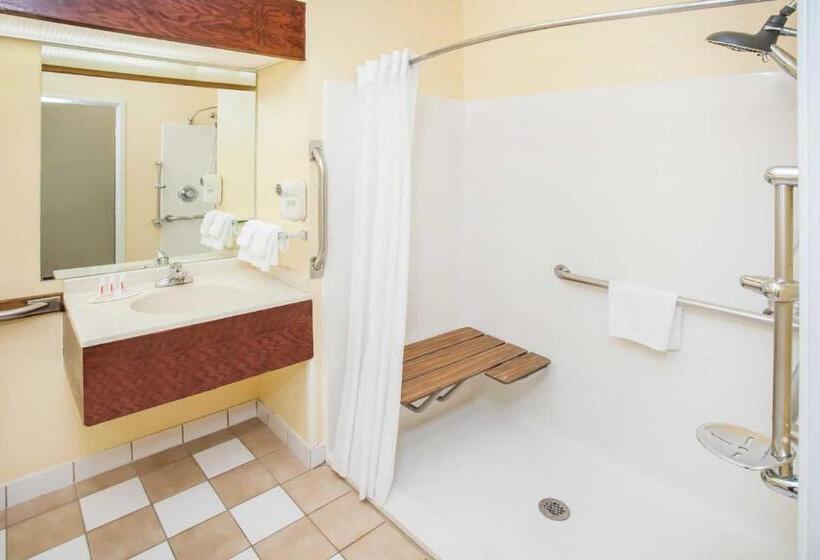 스탠다드 룸 킹사이즈 침대, Halsted Inn And Suites Harvey   Chicago Southland