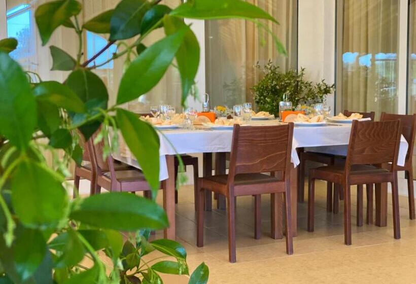 Номер Стандарт, Plamena Palace