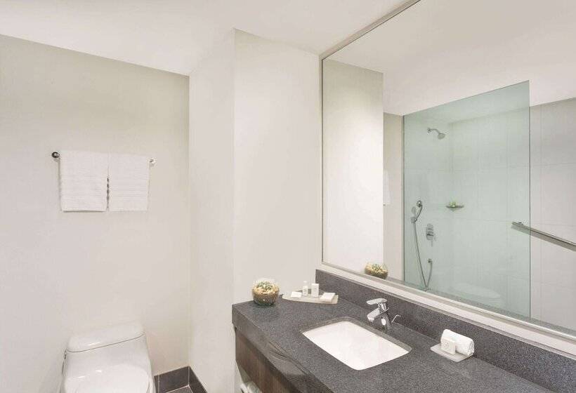 Полулюкс, Wyndham Guayaquil, Puerto Santa Ana