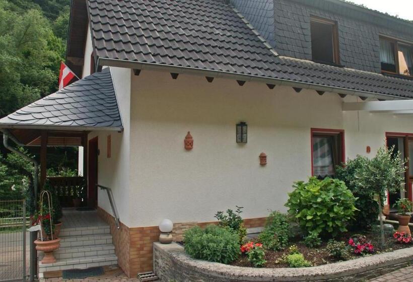 Номер Economy, Pension Belzer