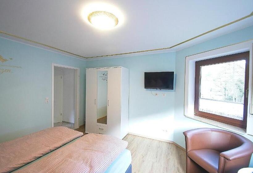 Номер Стандарт, Pension Belzer