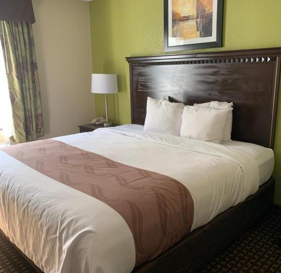 Номер Стандарт Кровать Кинг Адаптированный для Инвалидов, Quality Inn & Suites Quantico