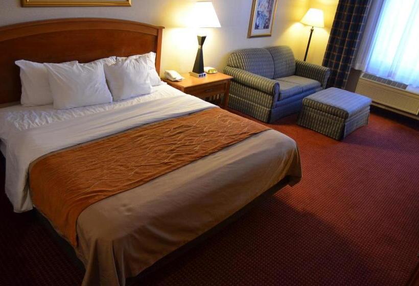 Люкс Кровать Кинг, Comfort Inn & Suites I 25 Near Spaceport America