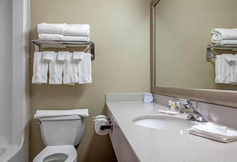 Люкс, Comfort Inn & Suites I 25 Near Spaceport America