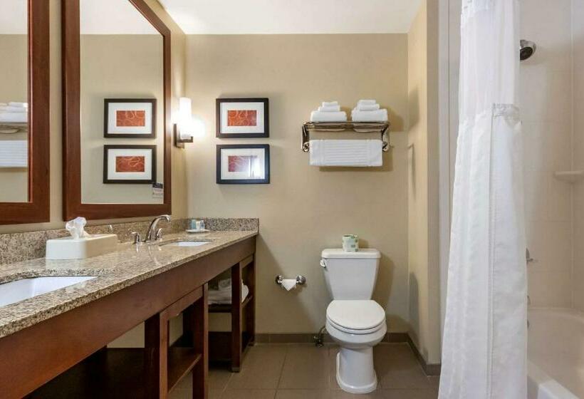 Люкс, Comfort Suites Airportuniversity