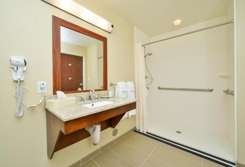 Люкс Адаптированный для Инвалидов, Comfort Suites Airportuniversity
