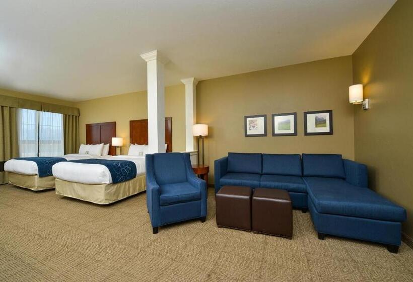 Люкс Адаптированный для Инвалидов, Comfort Suites Airportuniversity