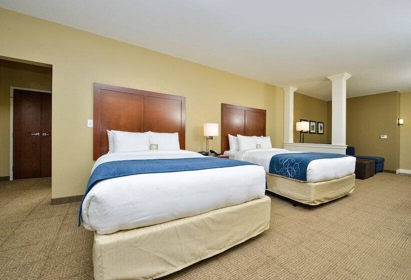 Люкс, Comfort Suites Airportuniversity