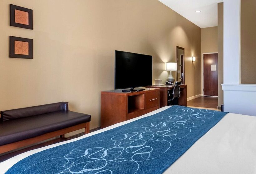 Люкс Адаптированный для Инвалидов, Comfort Suites Airportuniversity