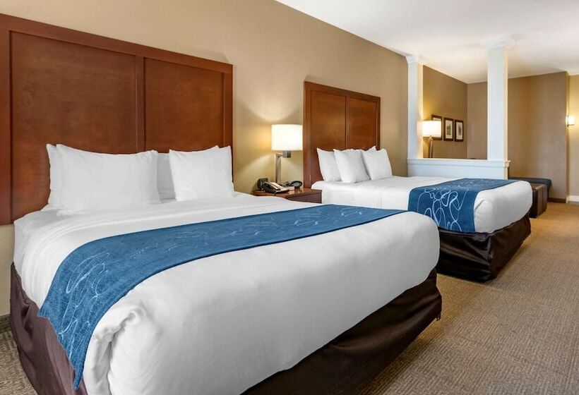 Люкс Адаптированный для Инвалидов, Comfort Suites Airportuniversity