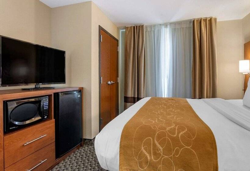 סוויטה, Comfort Suites Manhattan