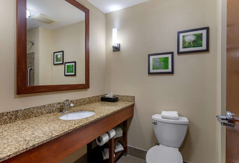 סוויטה, Comfort Suites Manhattan