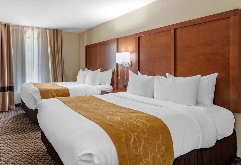 סוויטה, Comfort Suites Manhattan