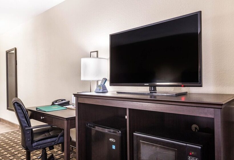 Номер Стандарт 2 Двуспальные Кровати, Quality Inn Downtown