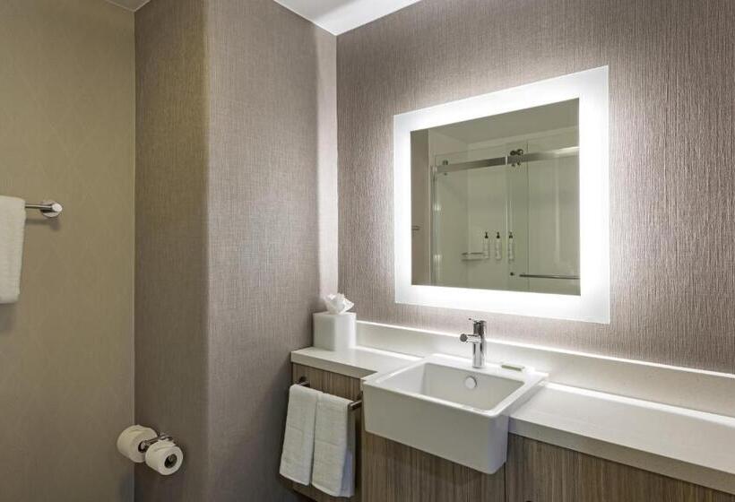 带大床的套房, Springhill Suites By Marriott Turlock