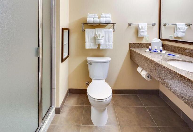 Номер Executive Кровать Кинг, Best Western Plus Arlington/marysville
