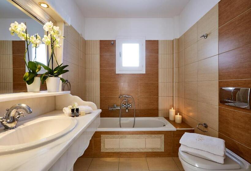 اتاق استاندارد, De Sol Hotel & Spa