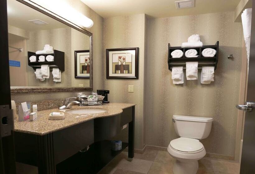Номер Стандарт, Hampton Inn & Suites Mcalester