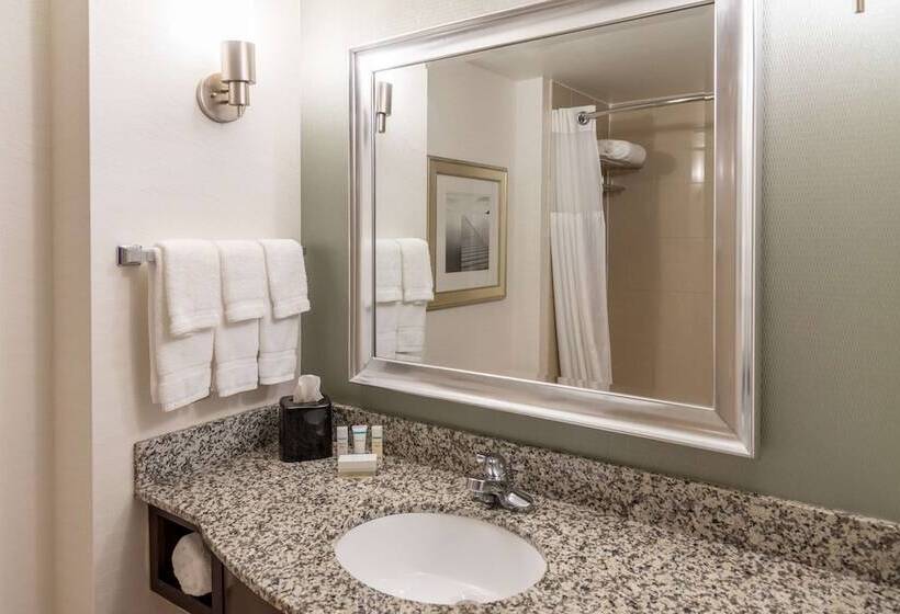 디럭스 룸, Hilton Garden Inn North Little Rock